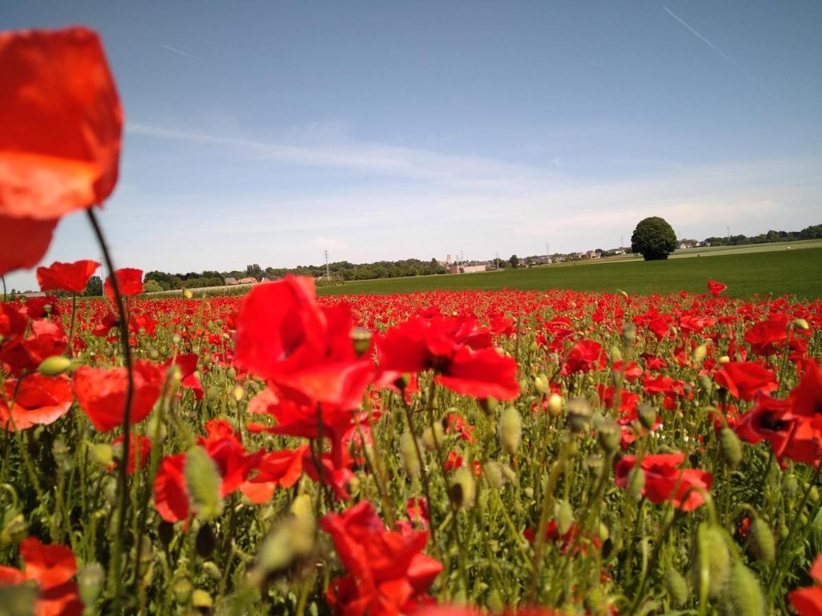 Vakantiewoning Mierzicht Met Prive Wellness Haspengouw Boekhout 外观 照片