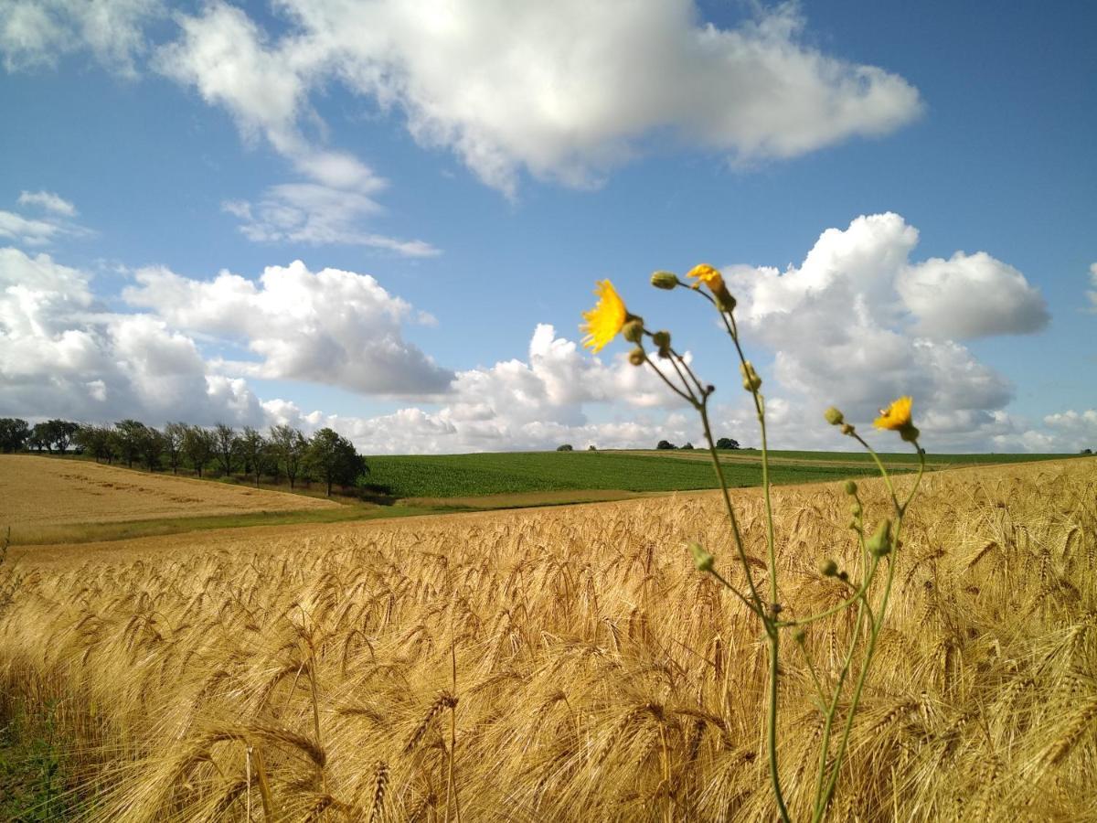 Vakantiewoning Mierzicht Met Prive Wellness Haspengouw Boekhout 外观 照片