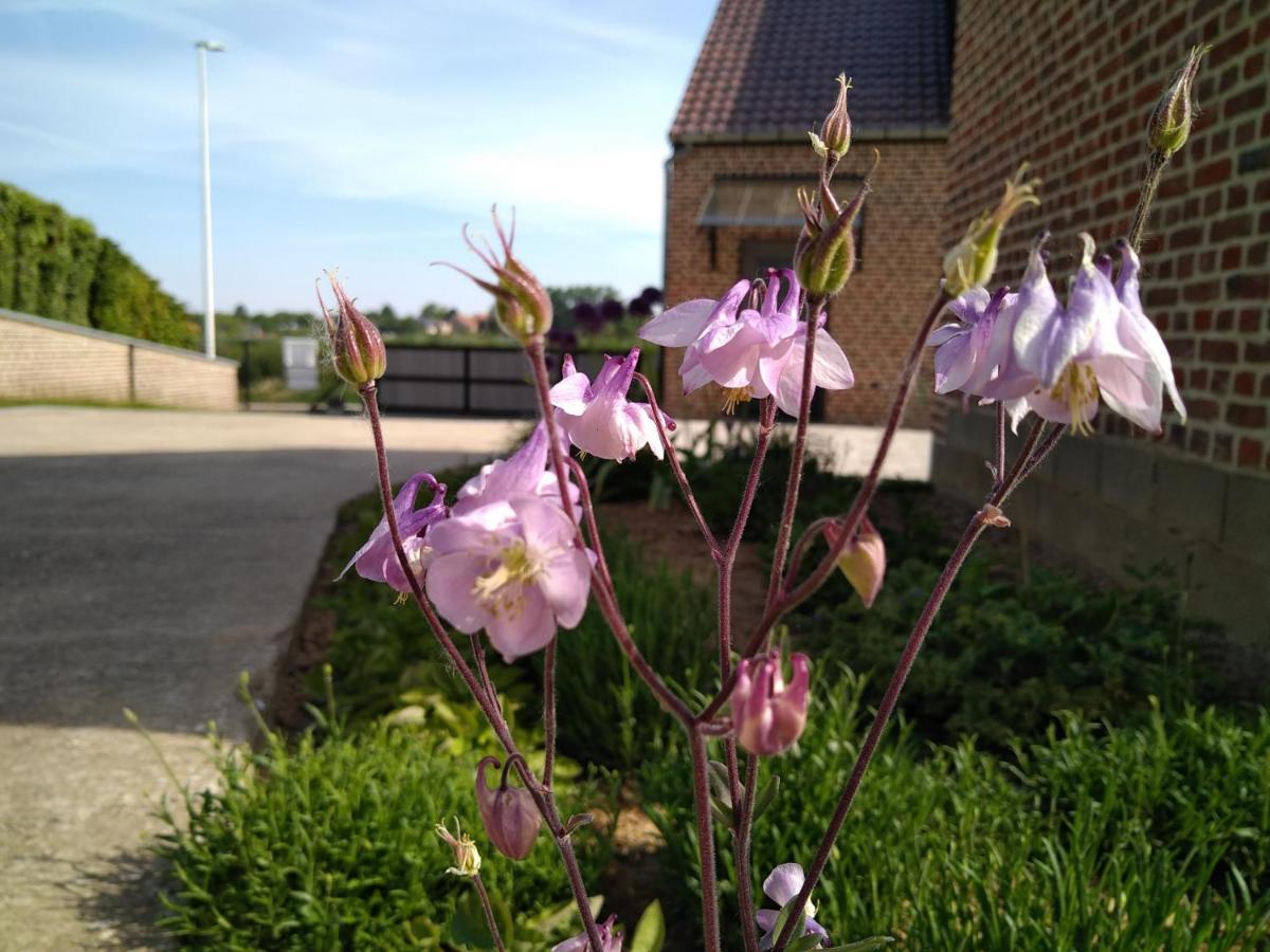 Vakantiewoning Mierzicht Met Prive Wellness Haspengouw Boekhout 外观 照片