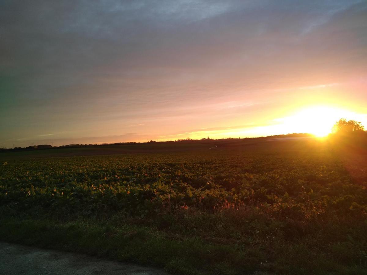 Vakantiewoning Mierzicht Met Prive Wellness Haspengouw Boekhout 外观 照片