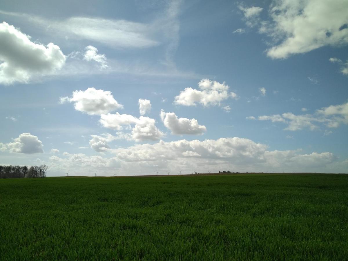 Vakantiewoning Mierzicht Met Prive Wellness Haspengouw Boekhout 外观 照片