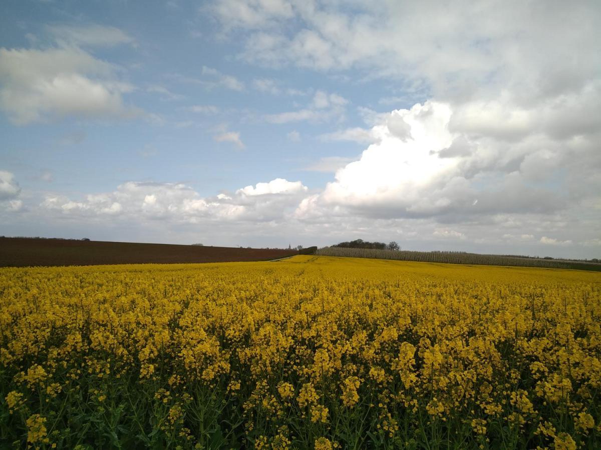 Vakantiewoning Mierzicht Met Prive Wellness Haspengouw Boekhout 外观 照片