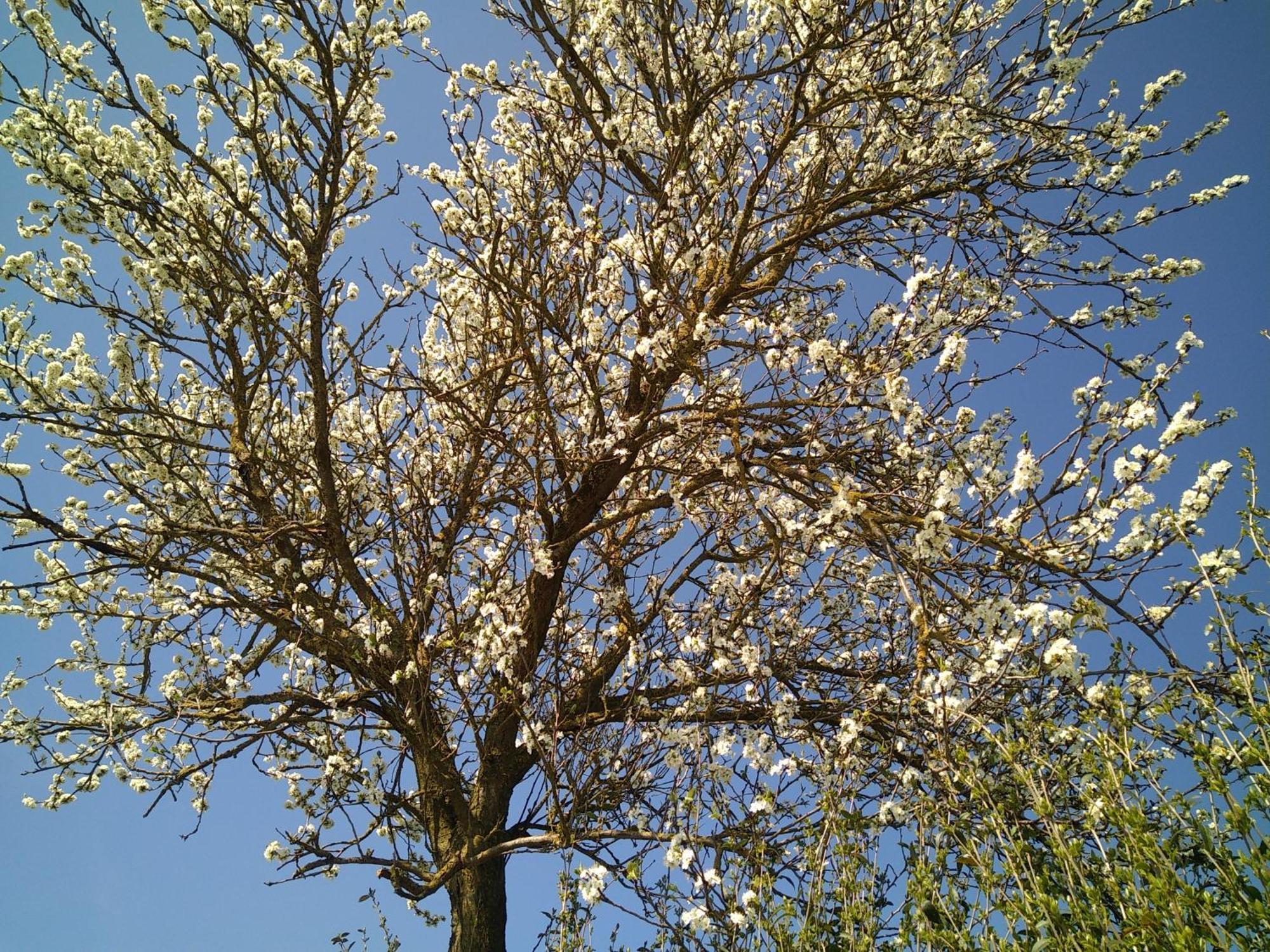 Vakantiewoning Mierzicht Met Prive Wellness Haspengouw Boekhout 外观 照片